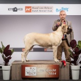 Kynoweb-Ernst von Scheven-20140406-11-59-13-IMG_0936
